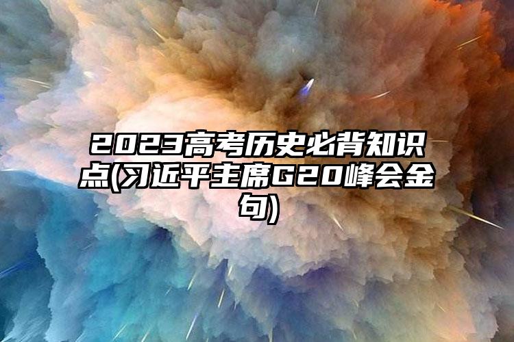 2023高考?xì)v史必背知識(shí)點(diǎn)(習(xí)****主席G20峰會(huì)金句)