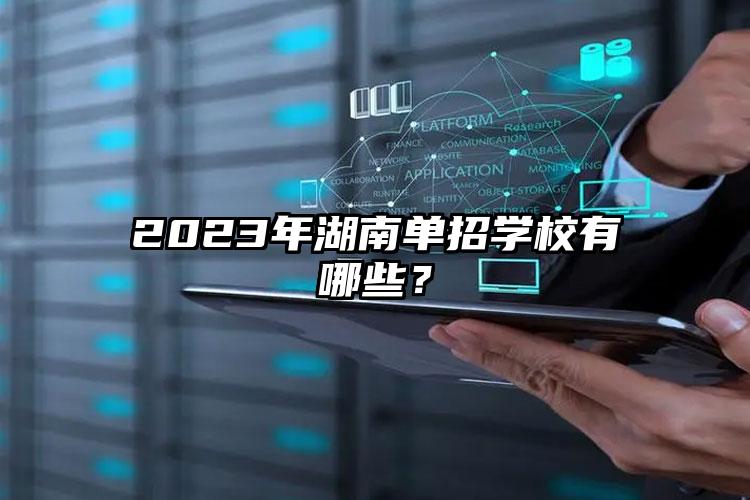 2023年湖南單招學(xué)校有哪些？