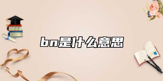 bn是什么意思