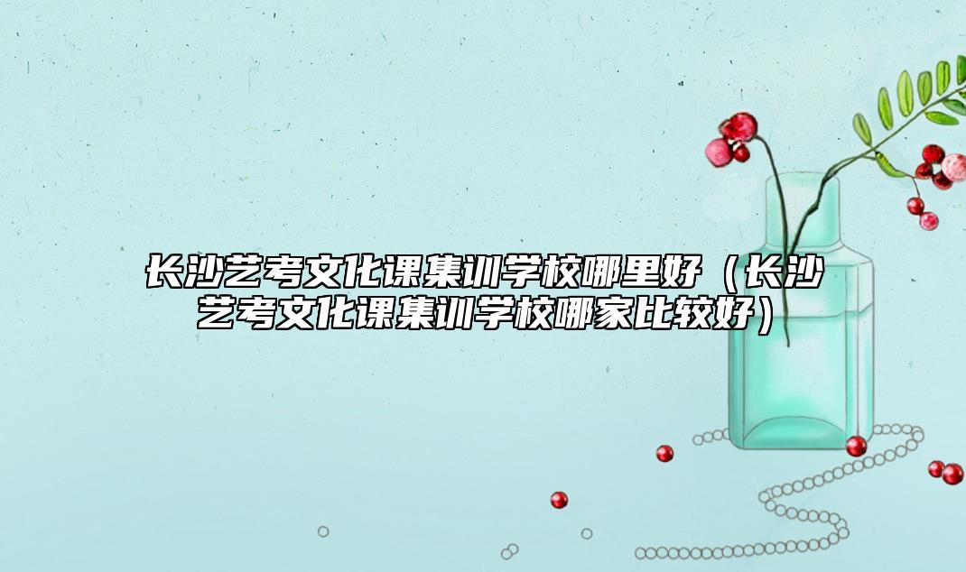 長(zhǎng)沙藝考文化課集訓(xùn)學(xué)校哪里好（長(zhǎng)沙藝考文化課集訓(xùn)學(xué)校哪家比較好）