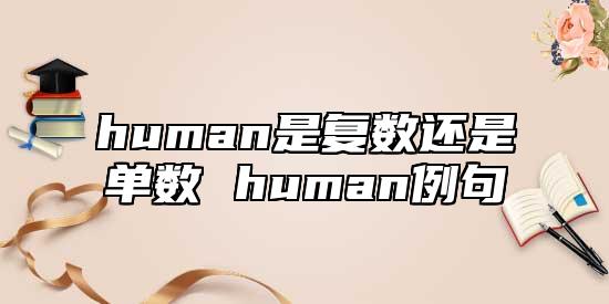 human是復(fù)數(shù)還是單數(shù) human例句