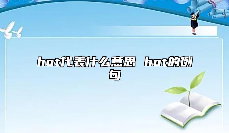 hot代表什么意思 hot的例句