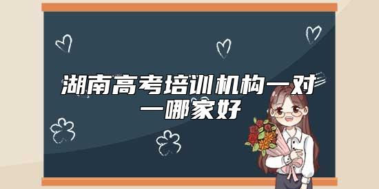 湖南高考培訓(xùn)機(jī)構(gòu)一對(duì)一哪家好