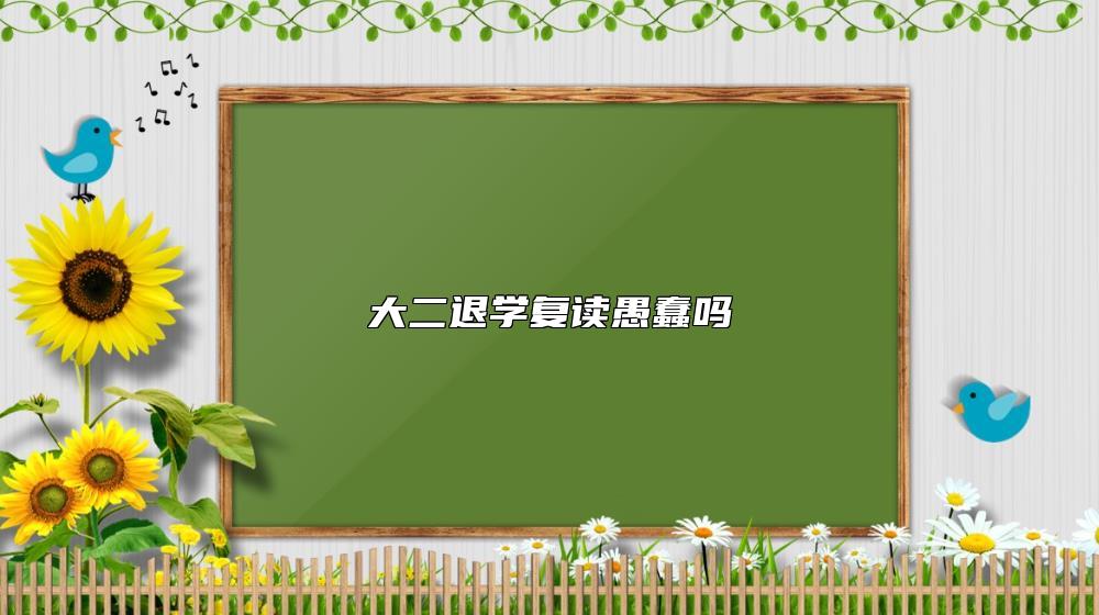 大二退學(xué)復(fù)讀愚蠢嗎