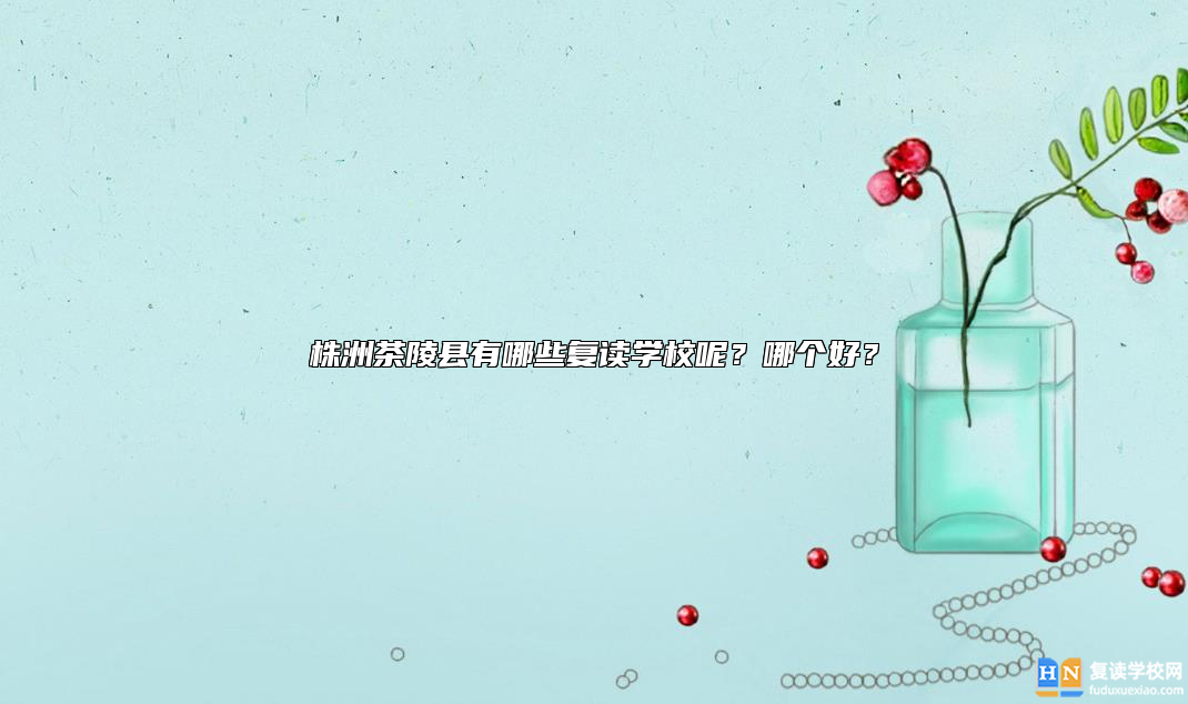 株洲茶陵縣有哪些復(fù)讀學(xué)校呢？哪個好？