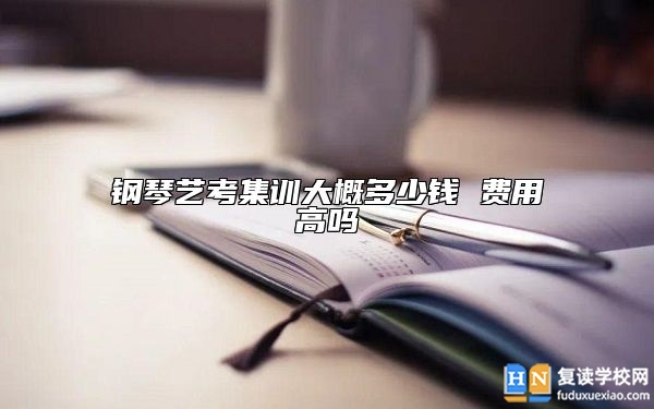 鋼琴藝考集訓(xùn)大概多少錢 費(fèi)用高嗎