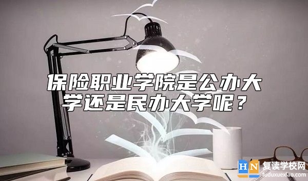 保險(xiǎn)職業(yè)學(xué)院是公辦大學(xué)還是民辦大學(xué)呢？
