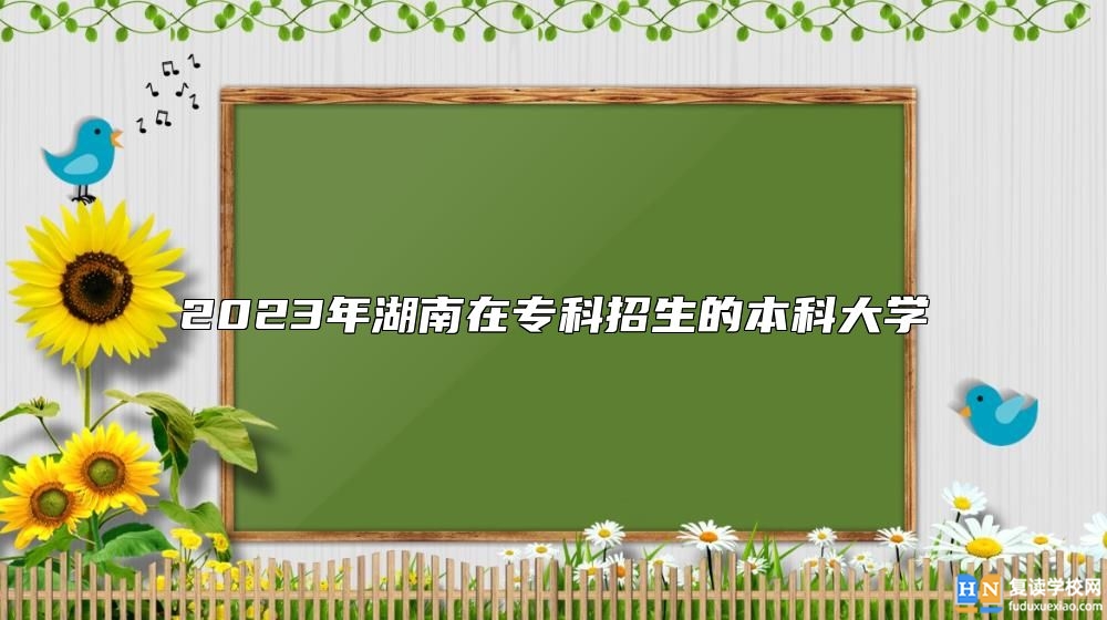 2023年湖南在?？普猩谋究拼髮W(xué)