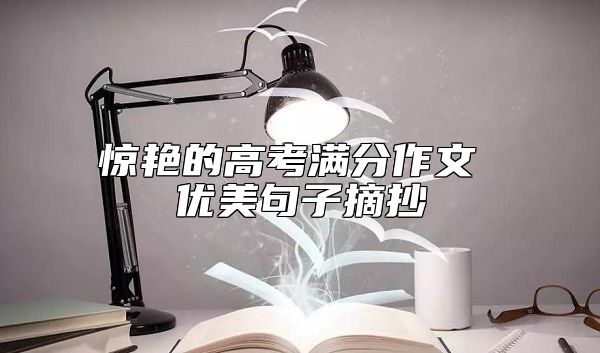 驚艷的高考滿分作文 優(yōu)美句子摘抄