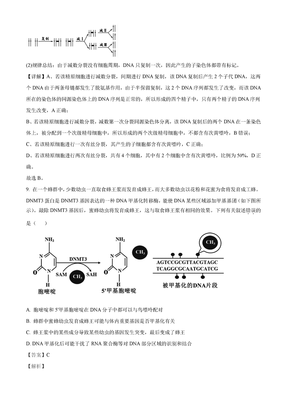 湖南岳汨聯(lián)考2024屆高三11月期中聯(lián)考生物試題及答案