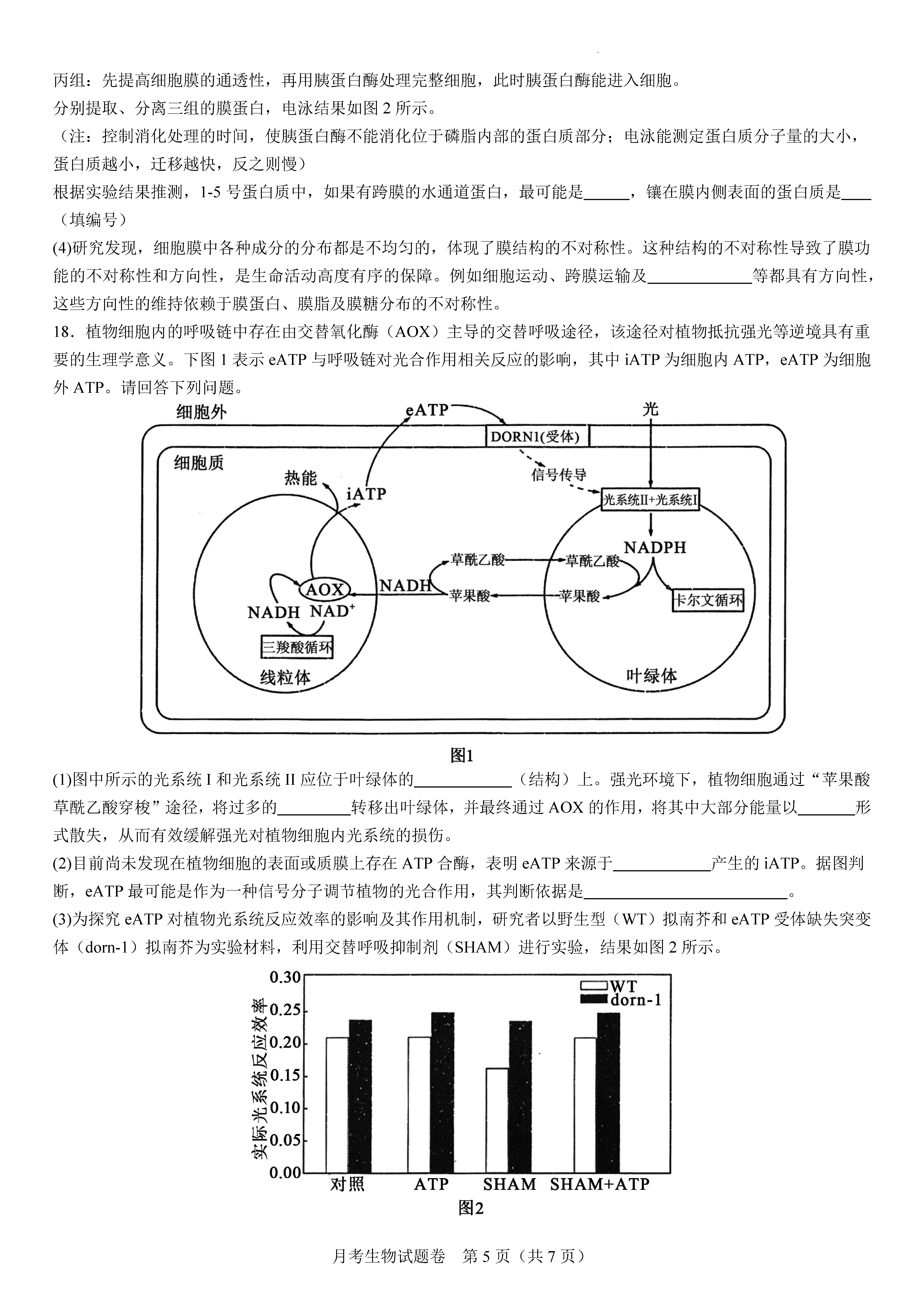 衡陽(yáng)八中2024屆高三上10月月考二生物試題及答案