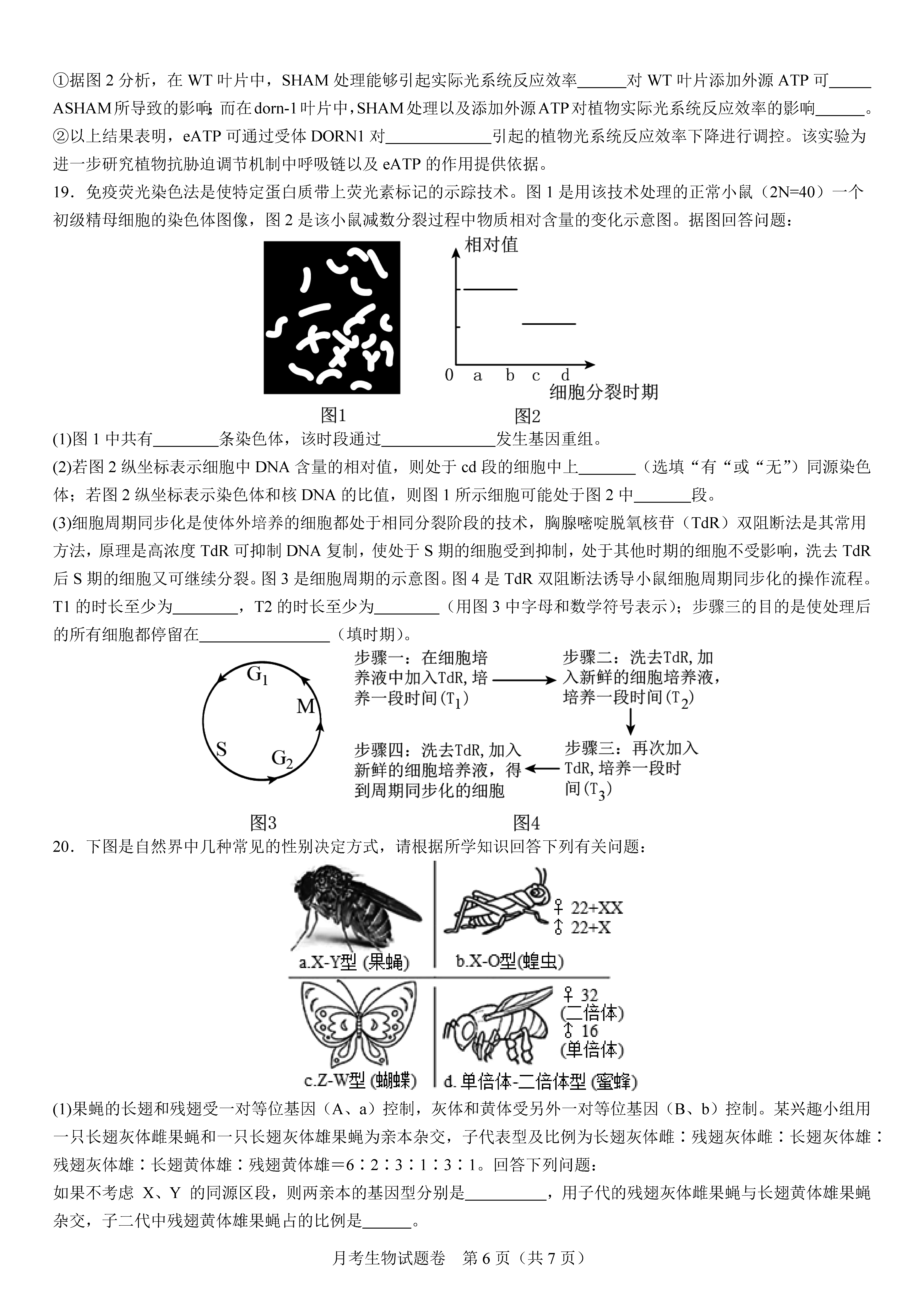 衡陽(yáng)八中2024屆高三上10月月考二生物試題及答案