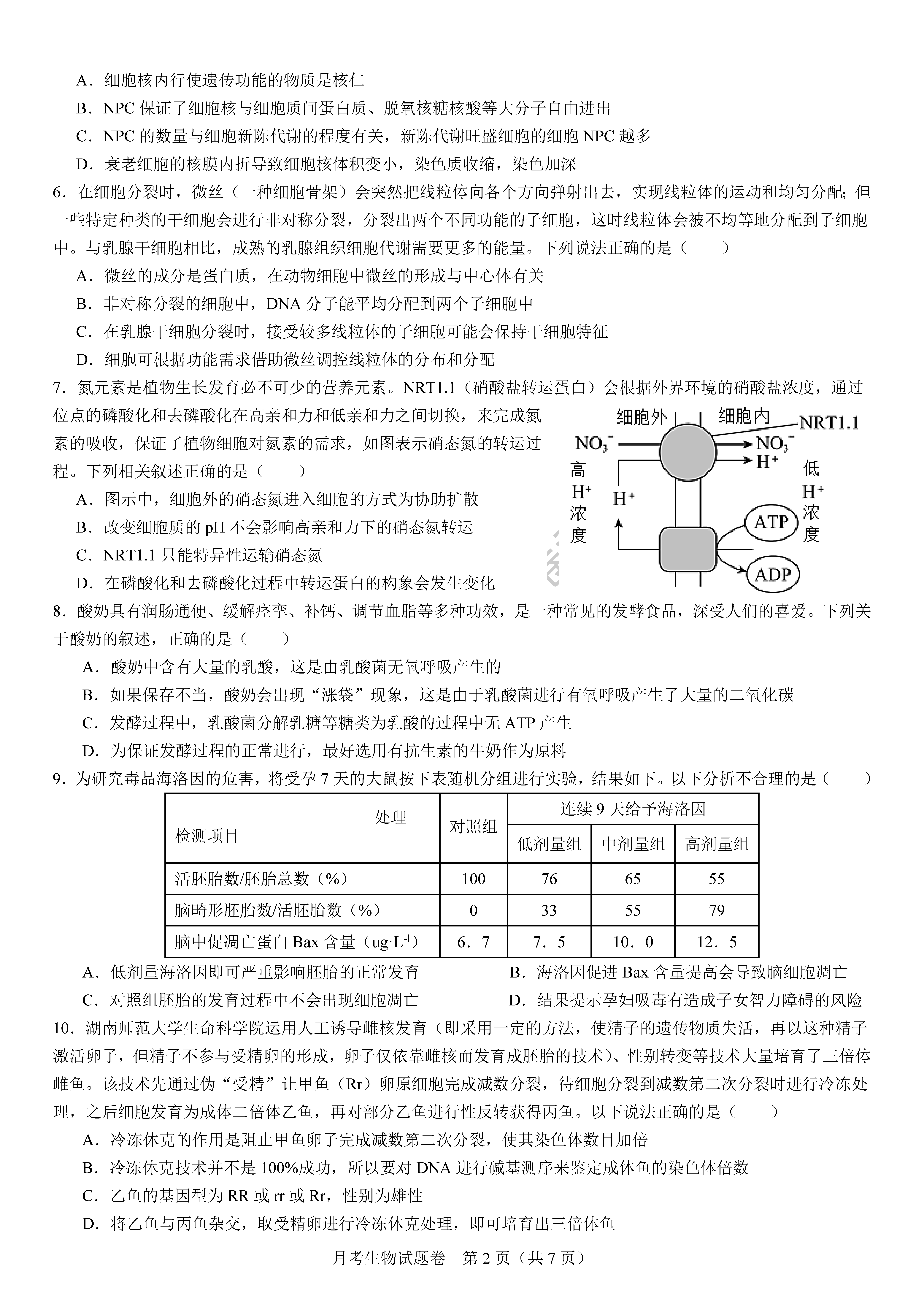 衡陽(yáng)八中2024屆高三上10月月考二生物試題及答案