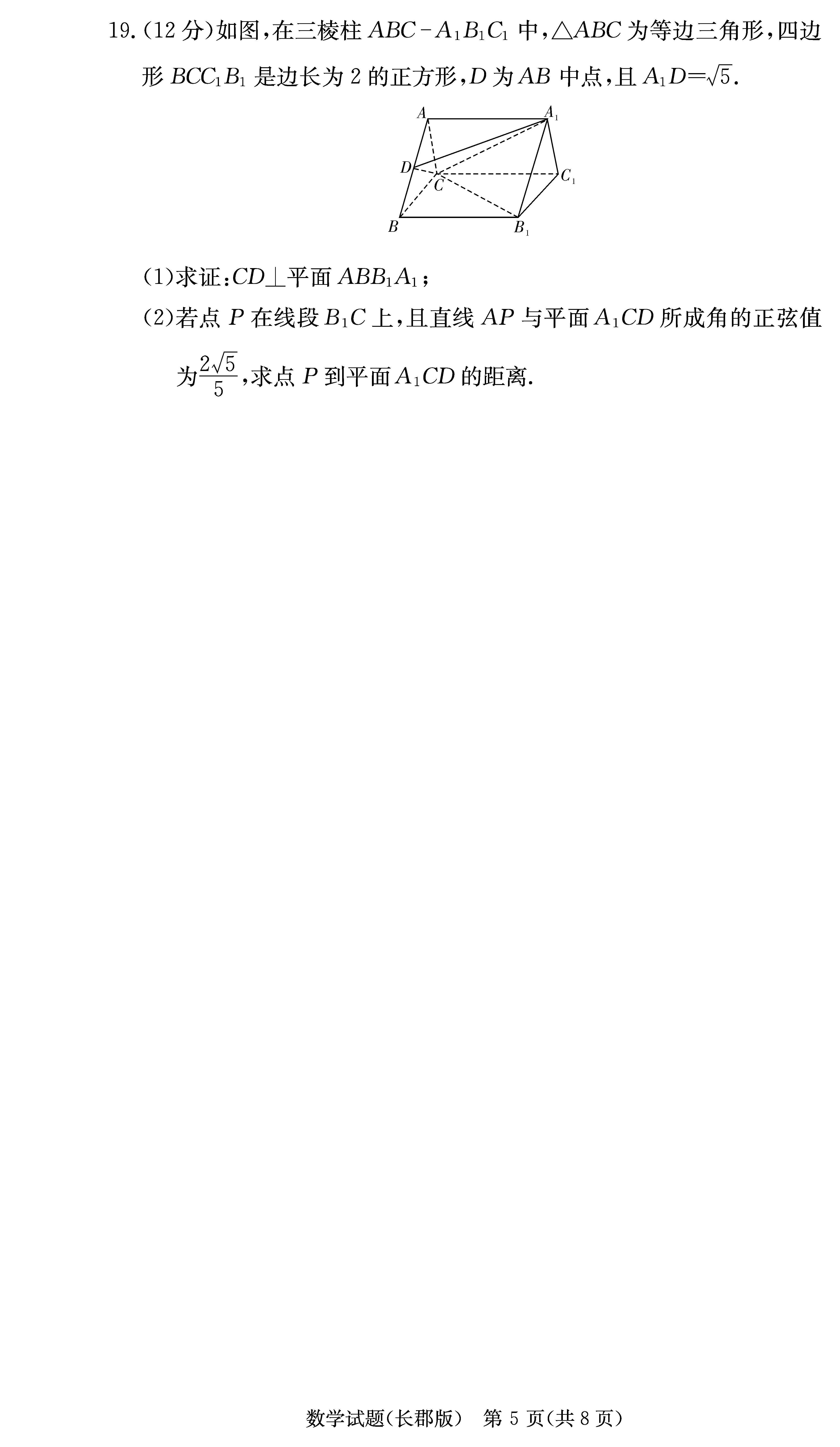 2024屆湖南長(zhǎng)郡中學(xué)高三月考(二)數(shù)學(xué)試卷及答案