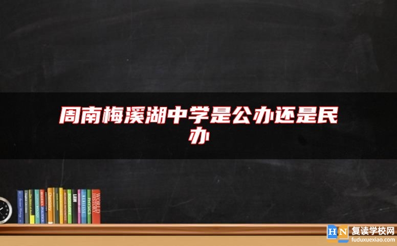 周南梅溪湖中學(xué)是公辦還是民辦