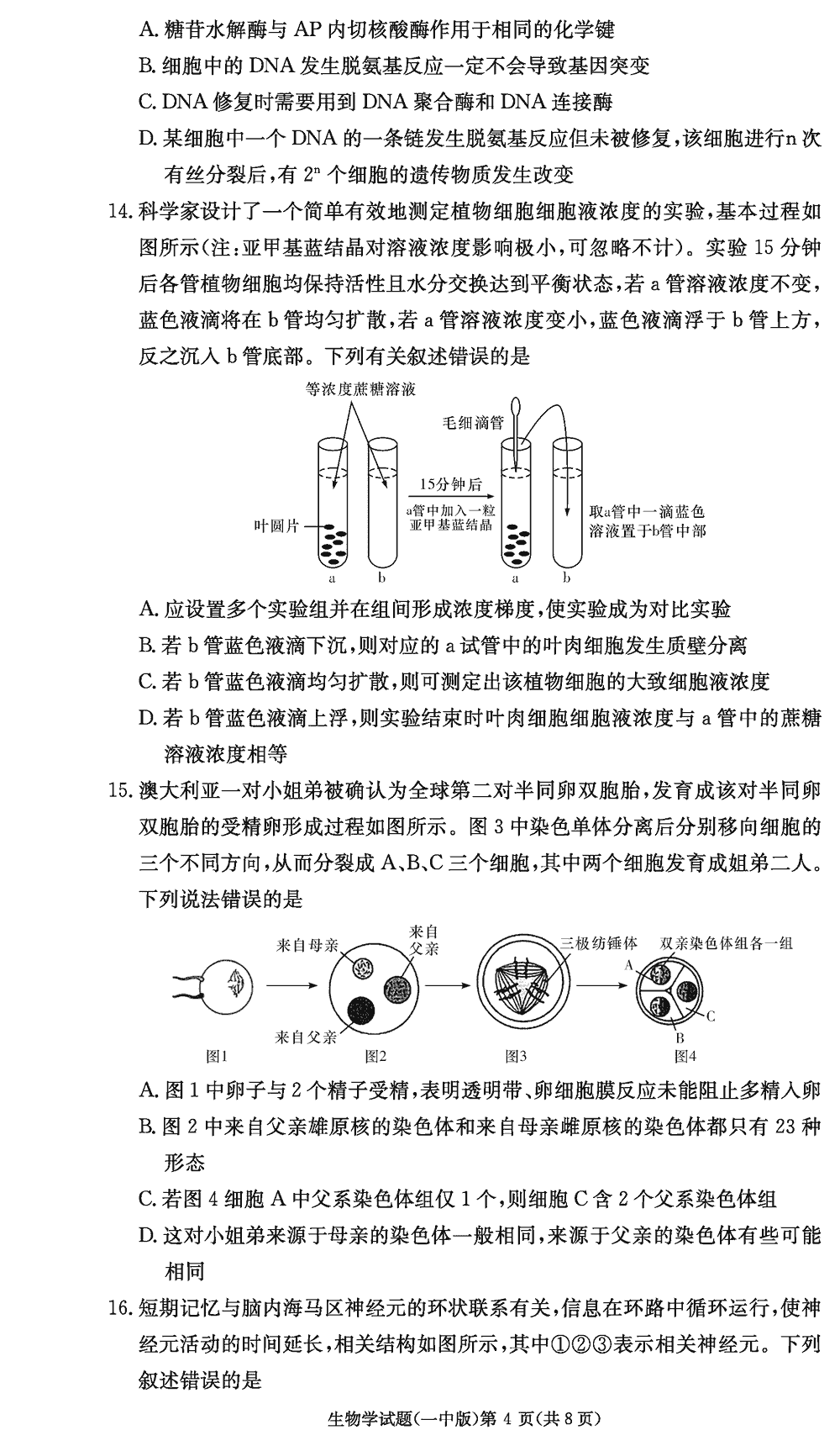 2024屆湖南長(zhǎng)沙一中高三上學(xué)期月考(四)生物試題及答案