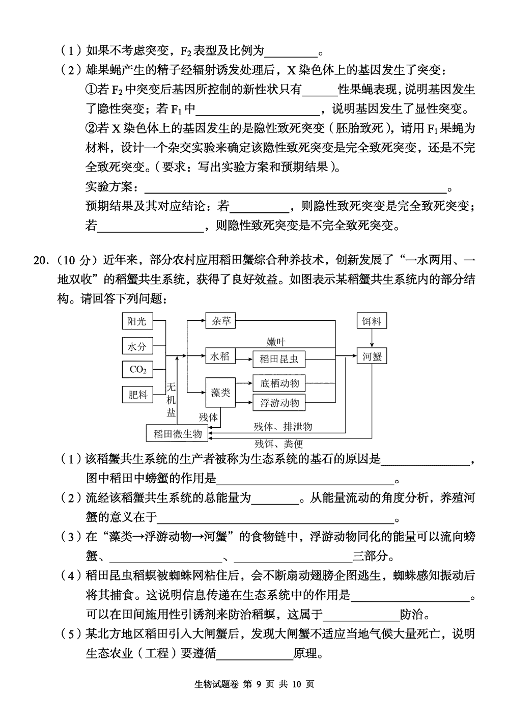 2024屆湖南A佳教育高三上11月聯(lián)考生物試題及答案