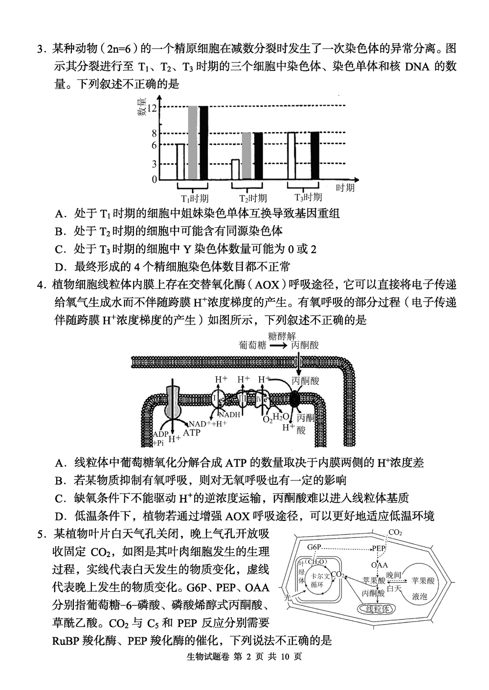 2024屆湖南A佳教育高三上11月聯(lián)考生物試題及答案