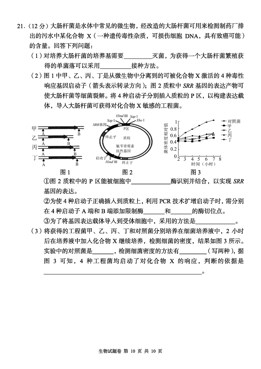 2024屆湖南A佳教育高三上11月聯(lián)考生物試題及答案