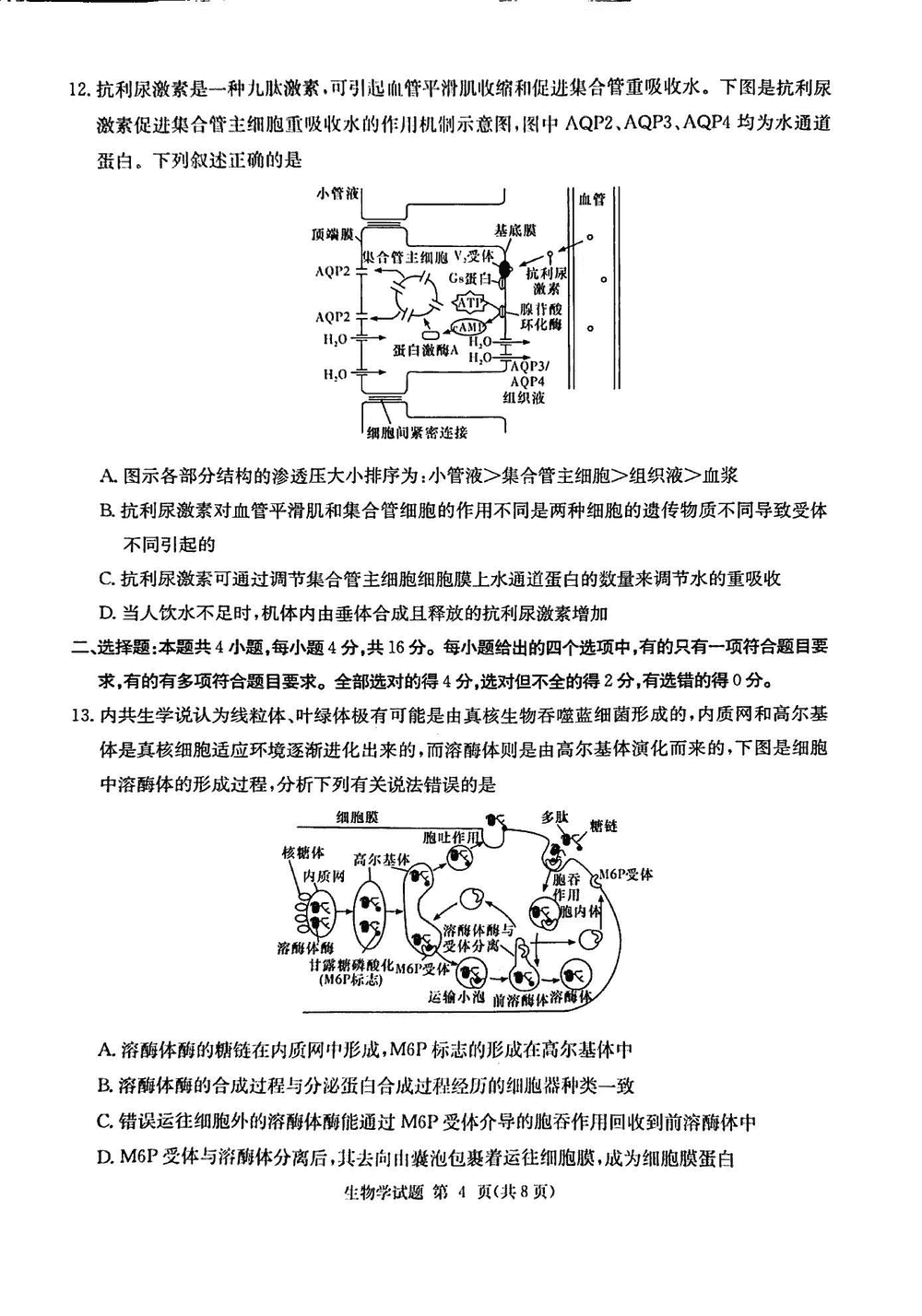 2024屆湖南九校聯(lián)盟高三第一次聯(lián)考生物試題及答案