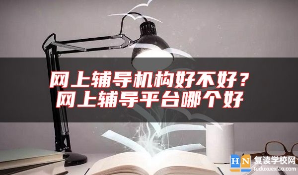 網(wǎng)上輔導機構(gòu)好不好？網(wǎng)上輔導**臺哪個好