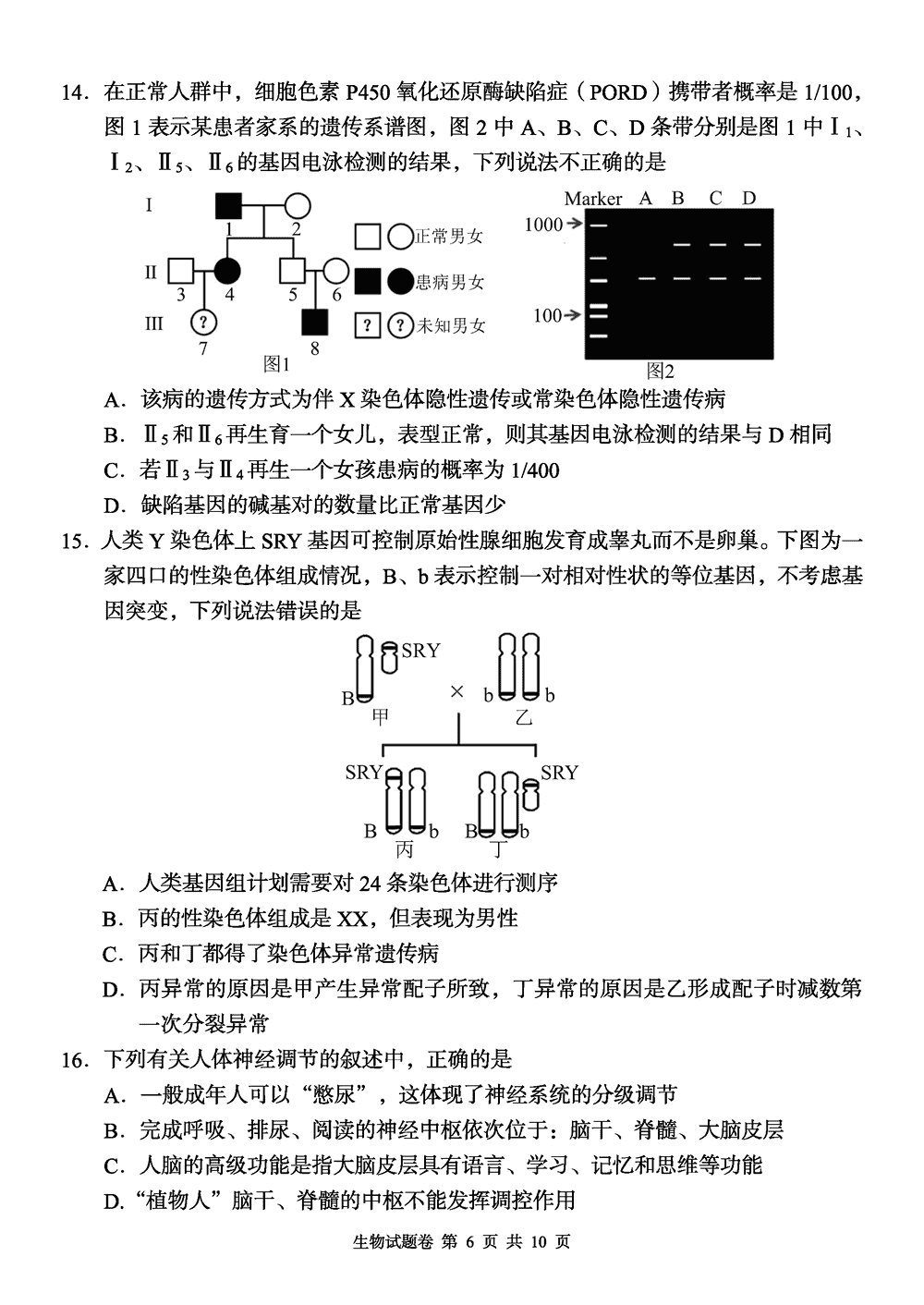 2024屆湖南A佳教育高三上11月聯(lián)考生物試題及答案