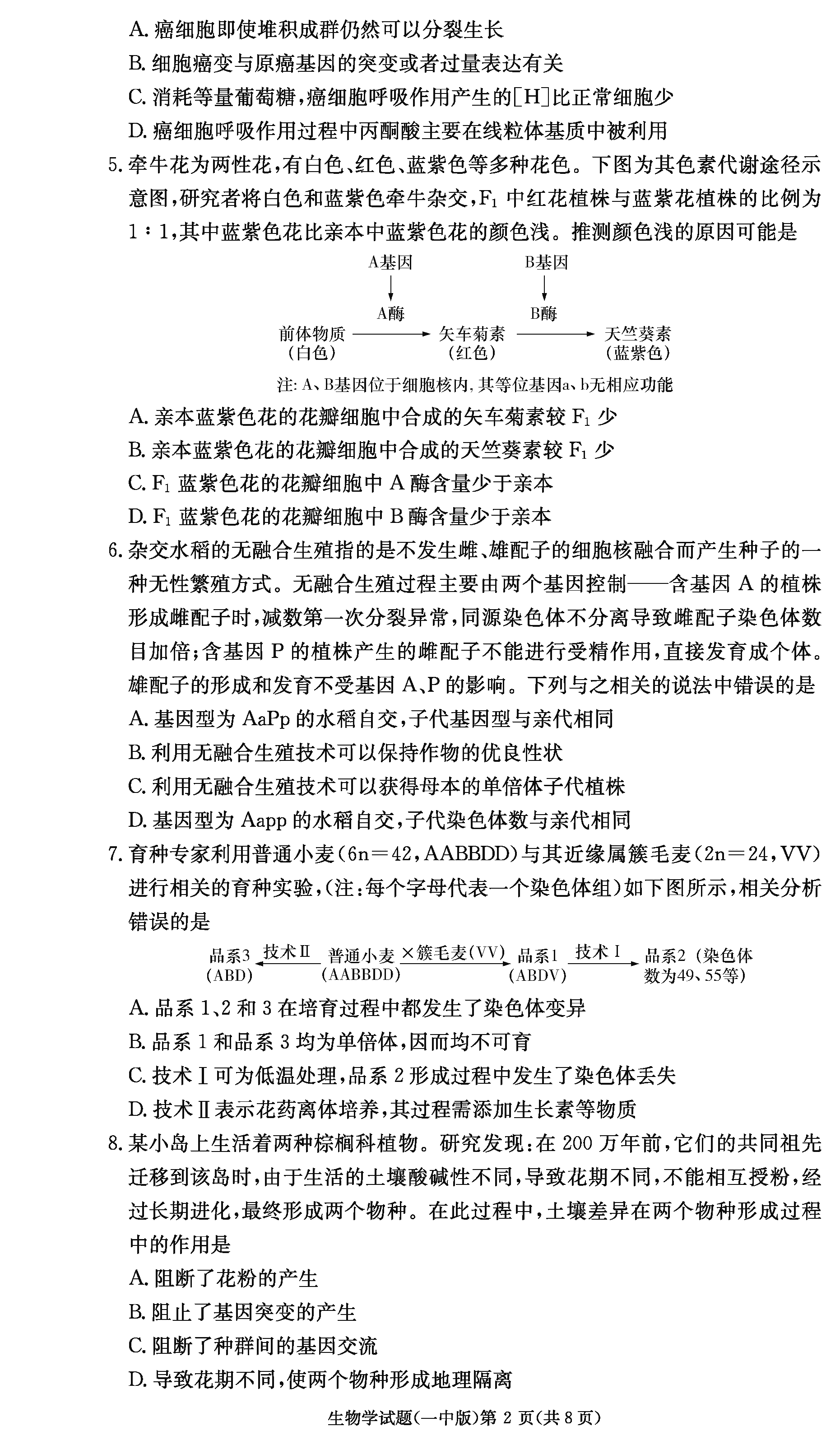 2024屆湖南長(zhǎng)沙一中高三上學(xué)期月考(四)生物試題及答案