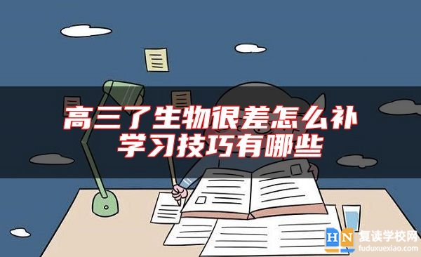 高三了生物很差怎么補(bǔ) 學(xué)習(xí)技巧有哪些