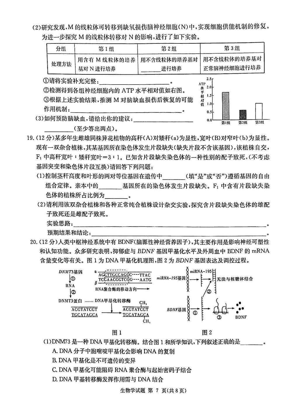 2024屆湖南九校聯(lián)盟高三第一次聯(lián)考生物試題及答案