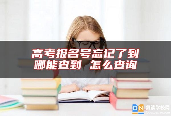 高考報名號忘記了到哪能查到 怎么查詢