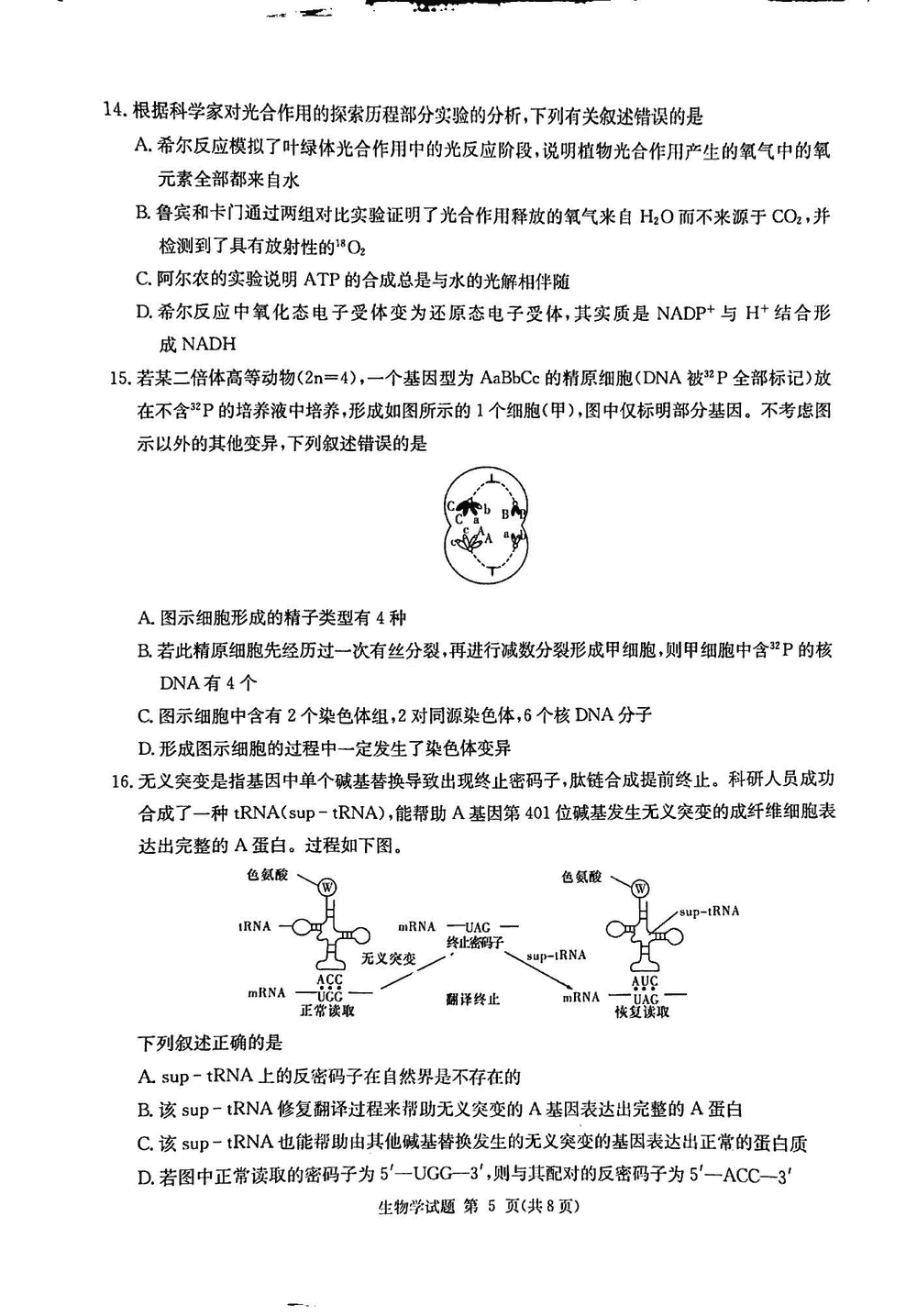 2024屆湖南九校聯(lián)盟高三第一次聯(lián)考生物試題及答案