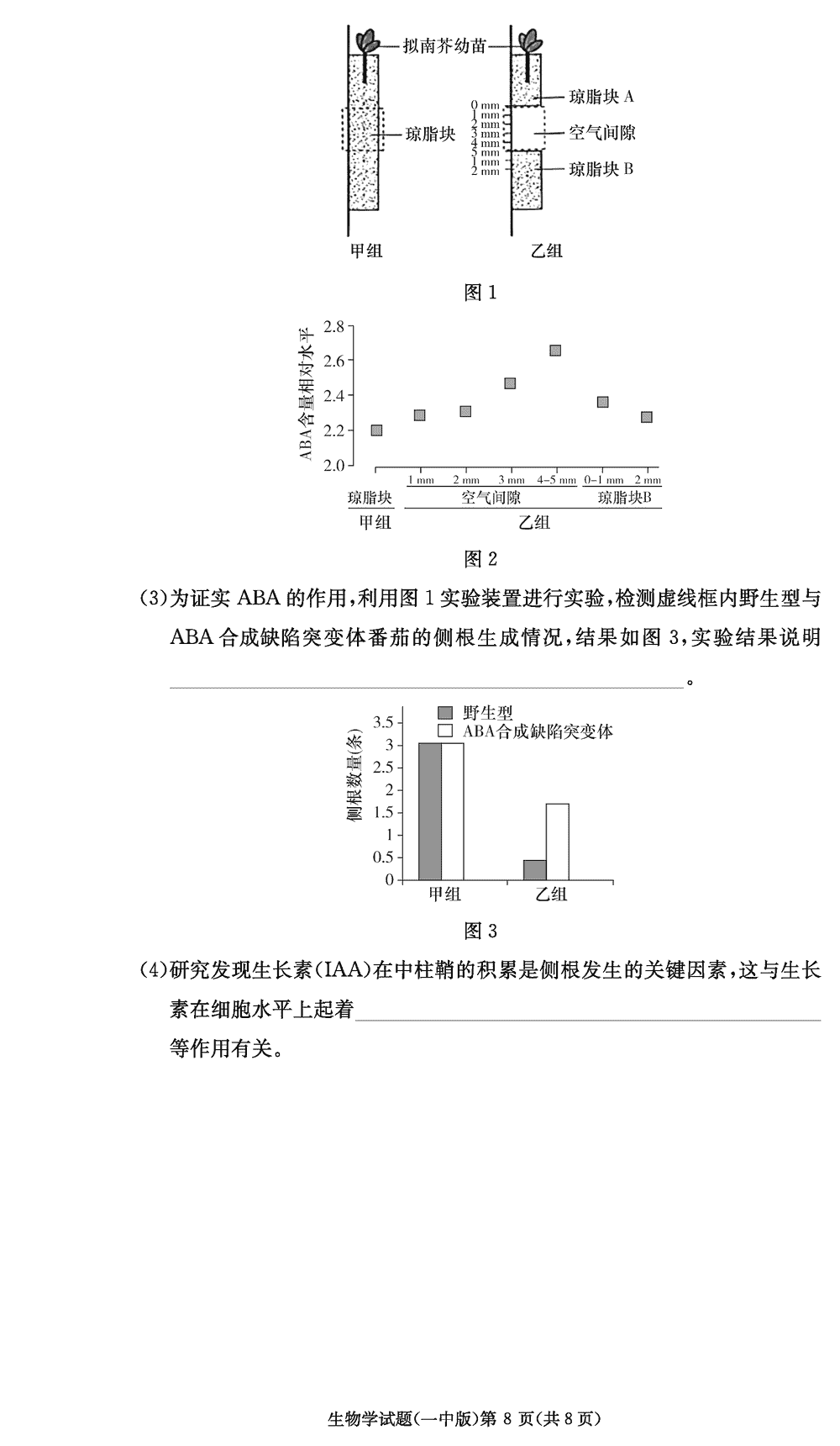 2024屆湖南長(zhǎng)沙一中高三上學(xué)期月考(四)生物試題及答案
