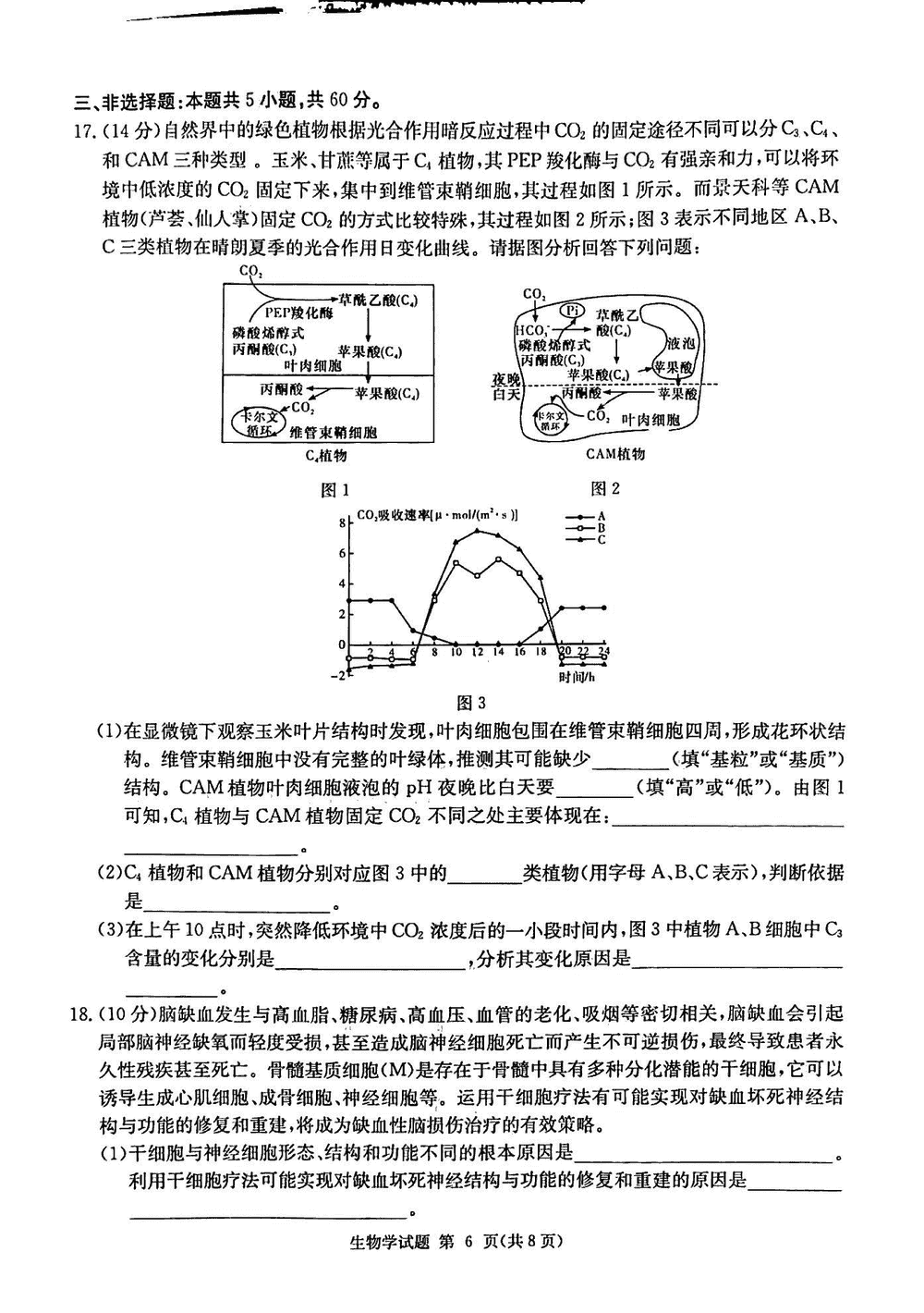 2024屆湖南九校聯(lián)盟高三第一次聯(lián)考生物試題及答案