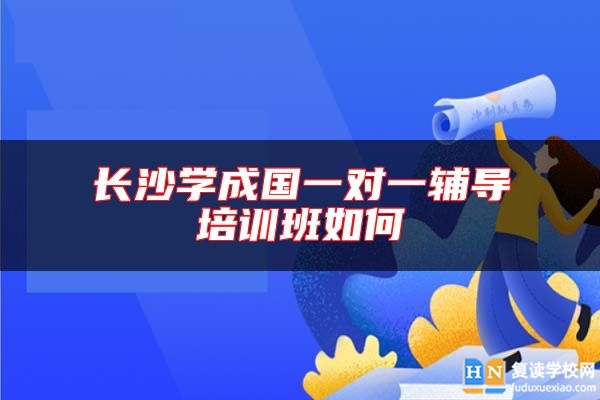 長(zhǎng)沙學(xué)成國(guó)一對(duì)一輔導(dǎo)培訓(xùn)班如何