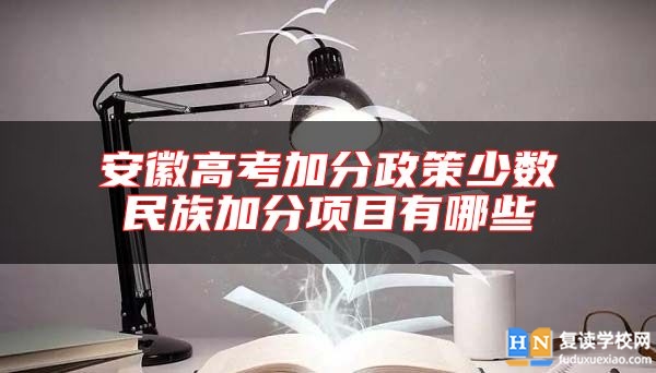 安徽高考加分政策少數(shù)民族加分項目有哪些