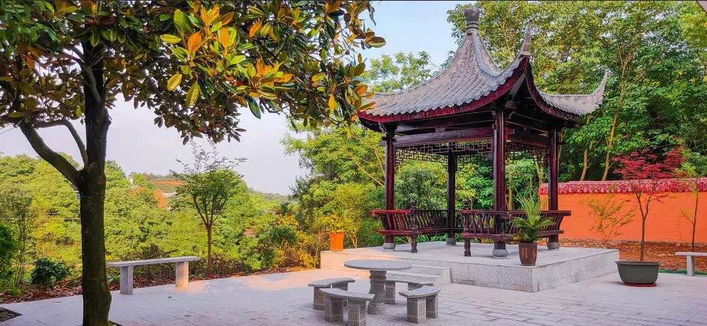 長(zhǎng)沙市知源中學(xué)環(huán)境實(shí)景