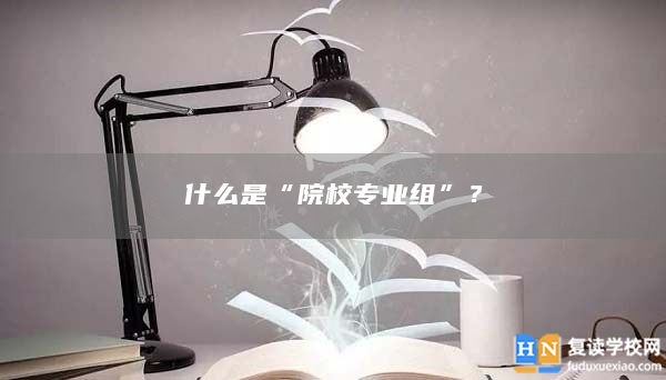 什么是“院校專業(yè)組”？