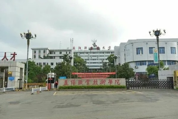 益陽職業(yè)技術學院2024年退役軍人單招計劃