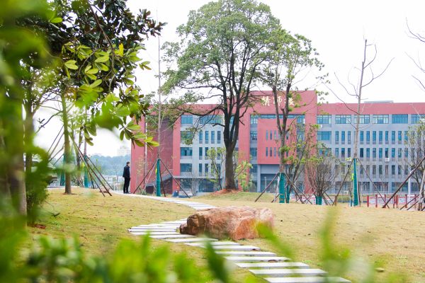 2024年長沙職院退伍軍人單招分?jǐn)?shù)線