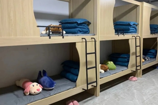 長(zhǎng)沙坤達(dá)2025年單招培訓(xùn)招生簡(jiǎn)章