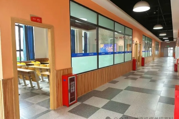 湖南單招集訓2025年招生簡章