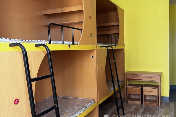 湖南單招集訓2025年招生簡章