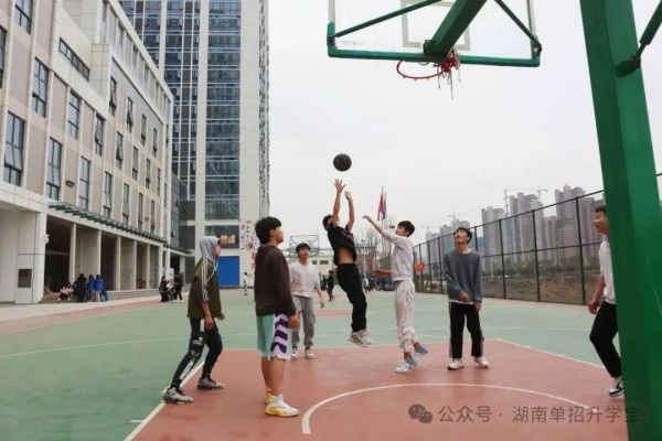 湖南升學(xué)寶2025單招培訓(xùn)招生簡章