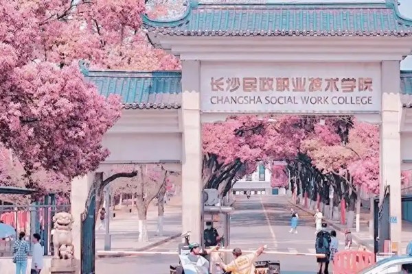 長沙民政職業(yè)技術(shù)學(xué)院往年單招錄取線