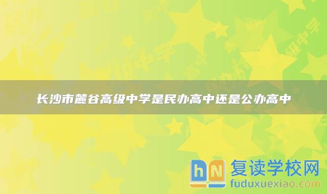 長(zhǎng)沙市麓谷高級(jí)中學(xué)是民辦高中還是公辦高中