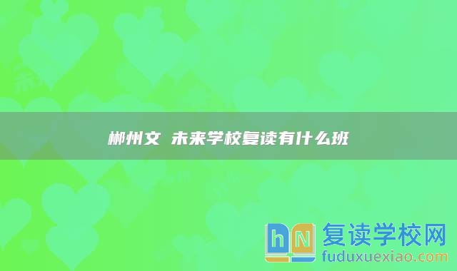 郴州文珺未來學(xué)校復(fù)讀有什么班