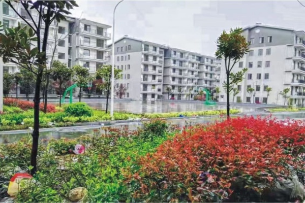 衡陽智勝學校2026屆單招復讀招生簡章