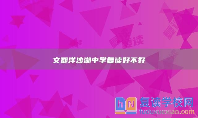 文郡洋沙湖中學(xué)復(fù)讀好不好