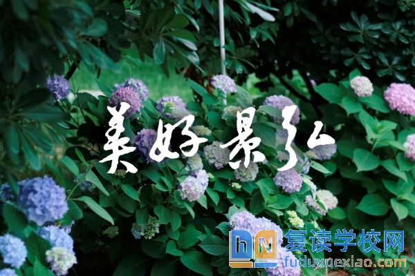 株洲市景弘高級中學2025年招生簡章