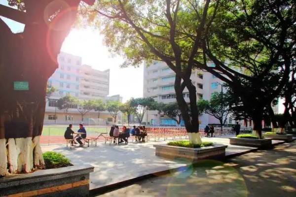 2026湖南單招必看常見(jiàn)問(wèn)答